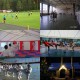 Zobacz ogłoszenie
